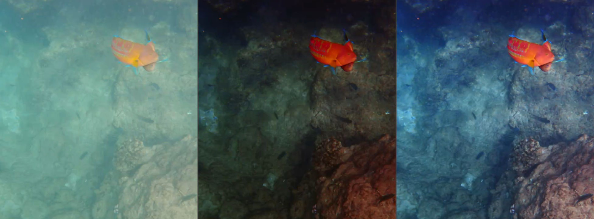 Screenshot export save dialog with timestamped filename